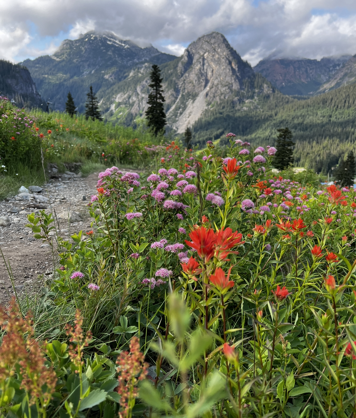 Scenic view of Snoqualmie Pass during summer with lush greenery